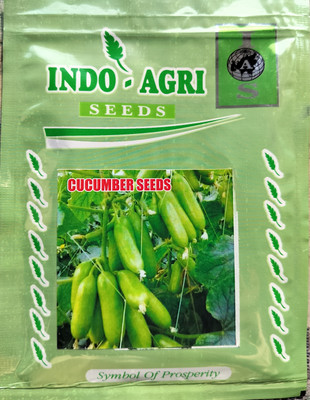 Mahak Stors Kgp highest yield cucumber seeds long and testy fruits Seed(1 per packet)