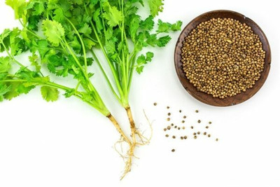 ZIXA Coriander Seed(2000 per packet)