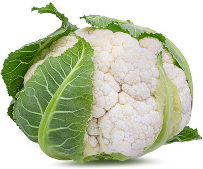 Barilla Group white cauliflower,gobhee seeds Seed(40 per packet)