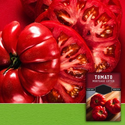 Quentova Mortgage Lifter Tomato 5gm Seeds Seed(2000 per packet)