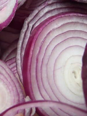 Qualtivate ICRA-1A Onion RED Creole Great Heirloom Seed(500 per packet)