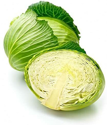 CYBEXIS Cabbage Brunswick Seeds - Brassica oleracea convar. Capitata2000 Seeds Seed(2000 per packet)