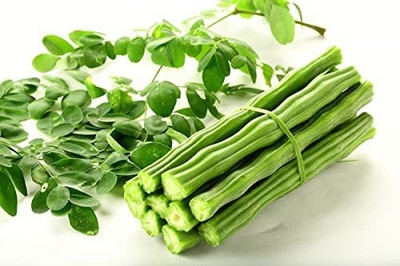 CYBEXIS GBPUT-78 - Organic Moringa Premium Quality - (1350 Seeds) Seed(1350 per packet)