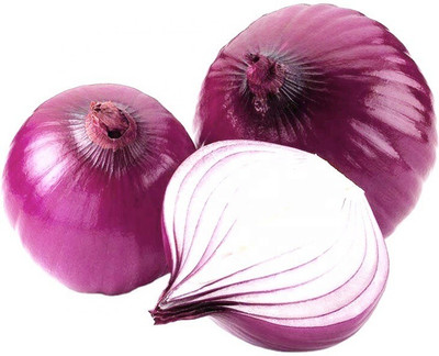 Quentova Nasik Onion-XII-8H Seed(300 per packet)