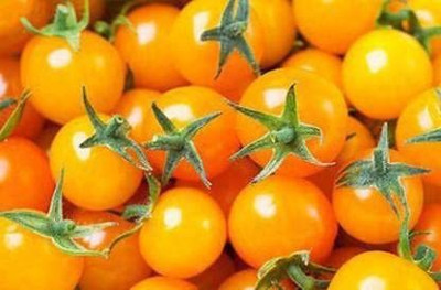ENINE Tomato Seed(100 per packet)