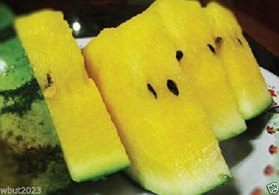Qualtivate RES-7A Watermelon -Yellow Crunch Very sweet Seed(100 per packet)