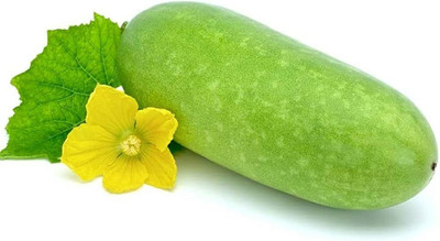 BDSresolve Ash gourd seeds/Ash gourd seed 24 Seed(24 per packet)