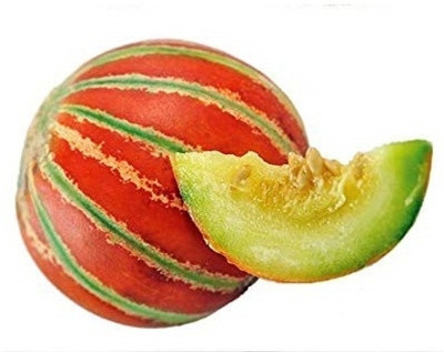 WILLVINE Muskmelon Quality Seeds Imported - Nirupama-[2500 Seeds] Seed(2500 per packet)