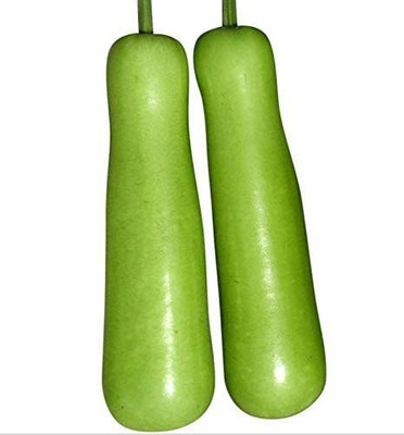 CYBEXIS GBPUT-10 - Long Bottle gourd - (100 Seeds) Seed(100 per packet)