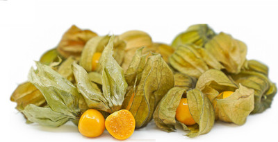 Quentova CAPE GOOSEBERRY - Golden Nugget seeds-VS-7A Seed(75 per packet)