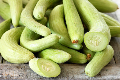 Qualtivate ICRA-4A Armenian Yard-Long Cucumber Seeds Seed(300 per packet)
