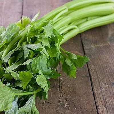 Qualtivate XLR-39 Organic Celery Seeds ‘Tall Utah’ Seed(500 per packet)