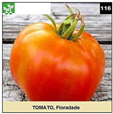 CYBEXIS FLORADADE TOMATO-250 Seeds Seed(250 per packet)