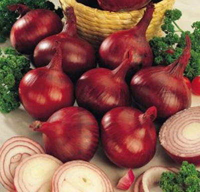 Qualtivate NDIR-595 Onion Red Heirloom Seed(1000 per packet)