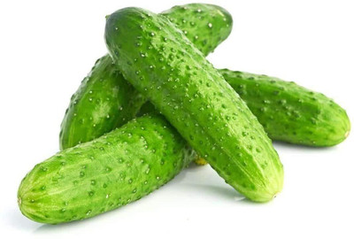 Qualtivate XXX-1A Vegetable Heirloom Cucumber Seed(300 per packet)