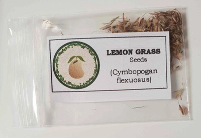 CYBEXIS NBIR-59 - Lemon Grass (Hybrid) - (750 Seeds) Seed(750 per packet)