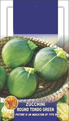 VibeX ® LXI-696 ZUCCHINI ROUND TONDO SEEDS Seed(100 per packet)