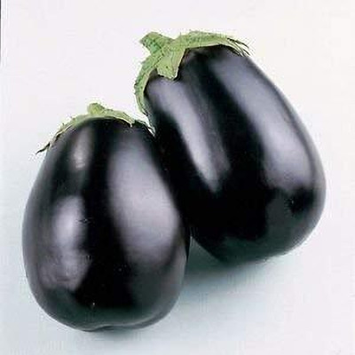 LPR BRINJAL SEEDS Seed(100 per packet)