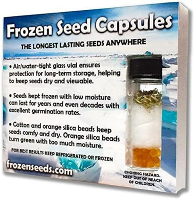 Qualtivate AXL-1AT Clary Sage (Salvia sclarea) Seed(100 per packet)