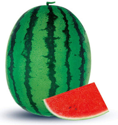 CYBEXIS Hybrid Watermelon Seeds 400 Seeds Seed(400 per packet)