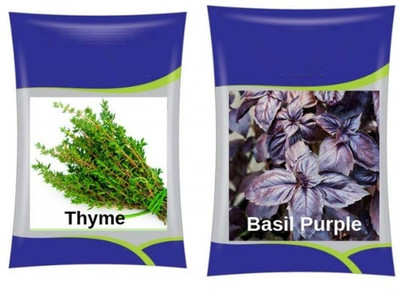 VibeX XLL-999- Thyme & Basil Purple Herb Combo Seed(200 per packet)