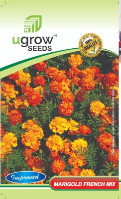 GARDENIFY INDIA GARDENIFY INDIA SUNBURST DELIGHT FRENCH MARIGOLD MIX GOLDEN GLOW FRENCH Seed(40 per packet)