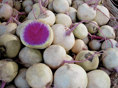 Qualtivate GBPT-2A Exotic Radish Watermelon Seeds Seed(300 per packet)