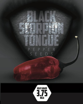 KNESSiN High Yield Black Tongue Pepper Vegetable Seeds for Garden-(1200 Seeds) Seed(1200 per packet)