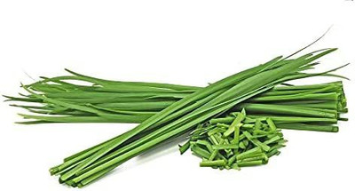 VibeX ® VXI-338 Garlic Chives Seeds Seed(500 per packet)