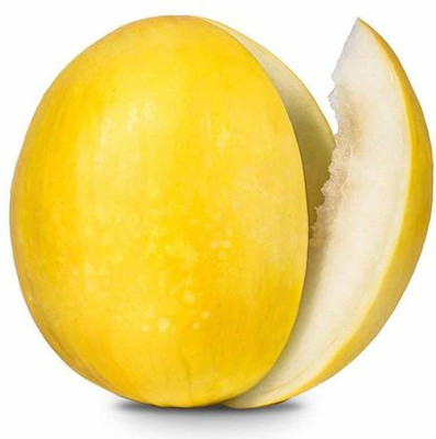 VibeX NDIR-68 - Yellow Muskmelon Kharbuja - (450 Seeds) Seed(450 per packet)