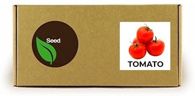 CYBEXIS Tomato2000 Seeds Seed(2000 per packet)