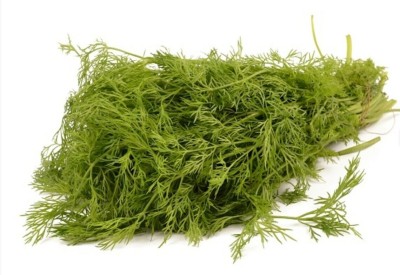 Quentova Dill Emerald Soya Herb Plant-PUA-77G Seed(250 per packet)