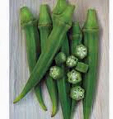 CYBEXIS XLL-86 - Perkins Long Pod Okra - (450 Seeds) Seed(450 per packet)