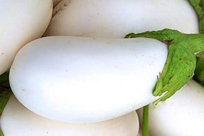 CHILLATAI WHITE BAIGAN/WHITE VANGI/WHITE BRINJAL/WHITE BEGUN VEGETABLE F1 HYBRID Seed(100 per packet)