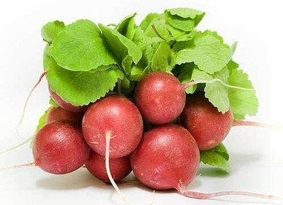 CYBEXIS Globe radish seeds CHERRY BELLE Early spring radish2400 Seeds Seed(2400 per packet)