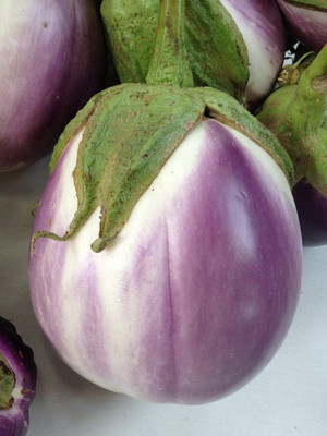 Qualtivate HYB-7A F1 Hybrid Brinjal Bengan Seed(300 per packet)