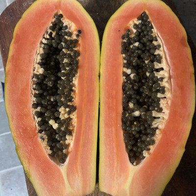 Farmonix Papaya Seeds Seed(150 per packet)