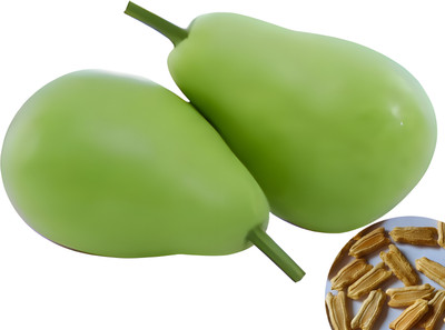 HARVESTSEEDS Bottle Gourd Round F1 Hybrid Seeds For Home Gardening Seed(30 per packet)