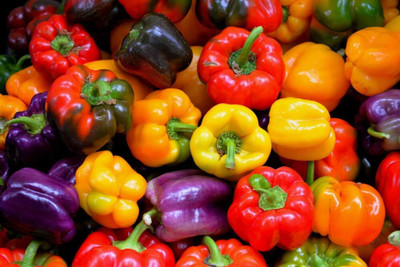 Biosnyg Disease-Resistant Rainbow Capsicum Mix Vegetable Seeds For Planting-(100 Seeds) Seed(100 per packet)