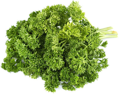 SOWCAN Herb Rare Seed Green Leaf Parsley Paramount Organically Seed(200 per packet)