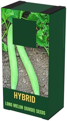 Qualtivate RES-8A Long Melon Kakdi Seed(200 per packet)