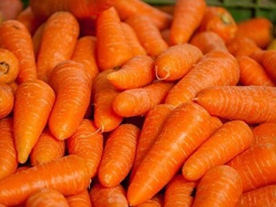 Qualtivate HYB-9A Tendersweet Carrot Seeds Seed(300 per packet)