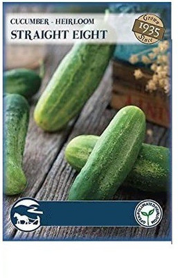 CYBEXIS Straight Eight Cucumber Seeds Seed(2000 per packet)