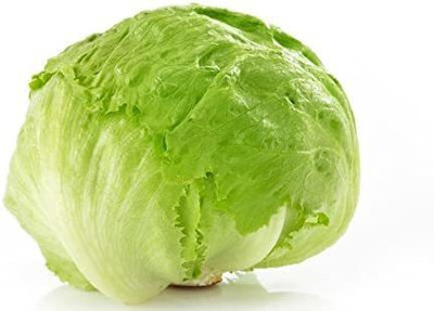 WILLVINE PAU-897 Iceberg Heading Lettuce Seed(200 per packet)