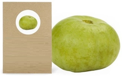 KNESSiN Fast Germination APPLE GOURD[100 Seeds] Seed(100 per packet)