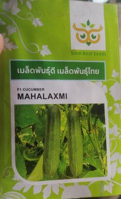 HYBRID 10g mahalaxmi kheera seeds highest yield variety early fruiting Seed(1 per packet)