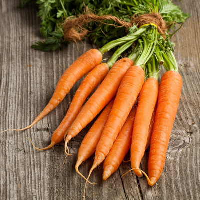 Qualtivate HYB-3A Carrot - Kuroda Long Seed(300 per packet)