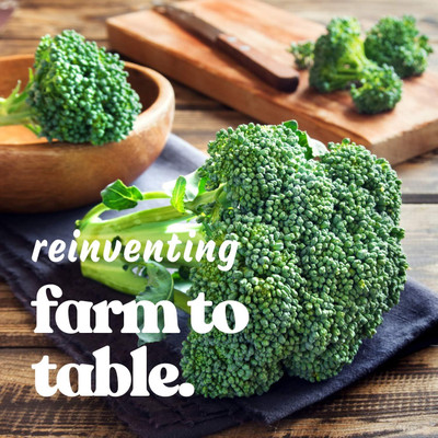 WILLVINE AMR -I F1 Waltham 29 Broccoli Seeds [10g] Seed(3000 per packet)