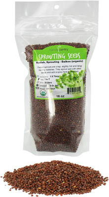 Qualtivate PUAS-114 Daikon Radish Sprouting Seeds Seed(500 per packet)
