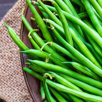 EcoFusion beans seeds Seed(141 per packet)